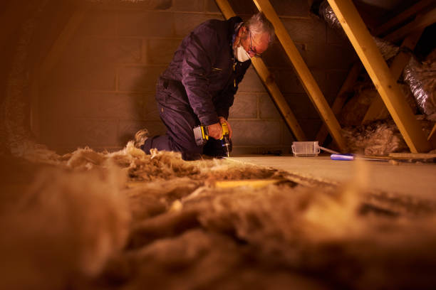 Best Specialized Insulation Services in Haw River, NC